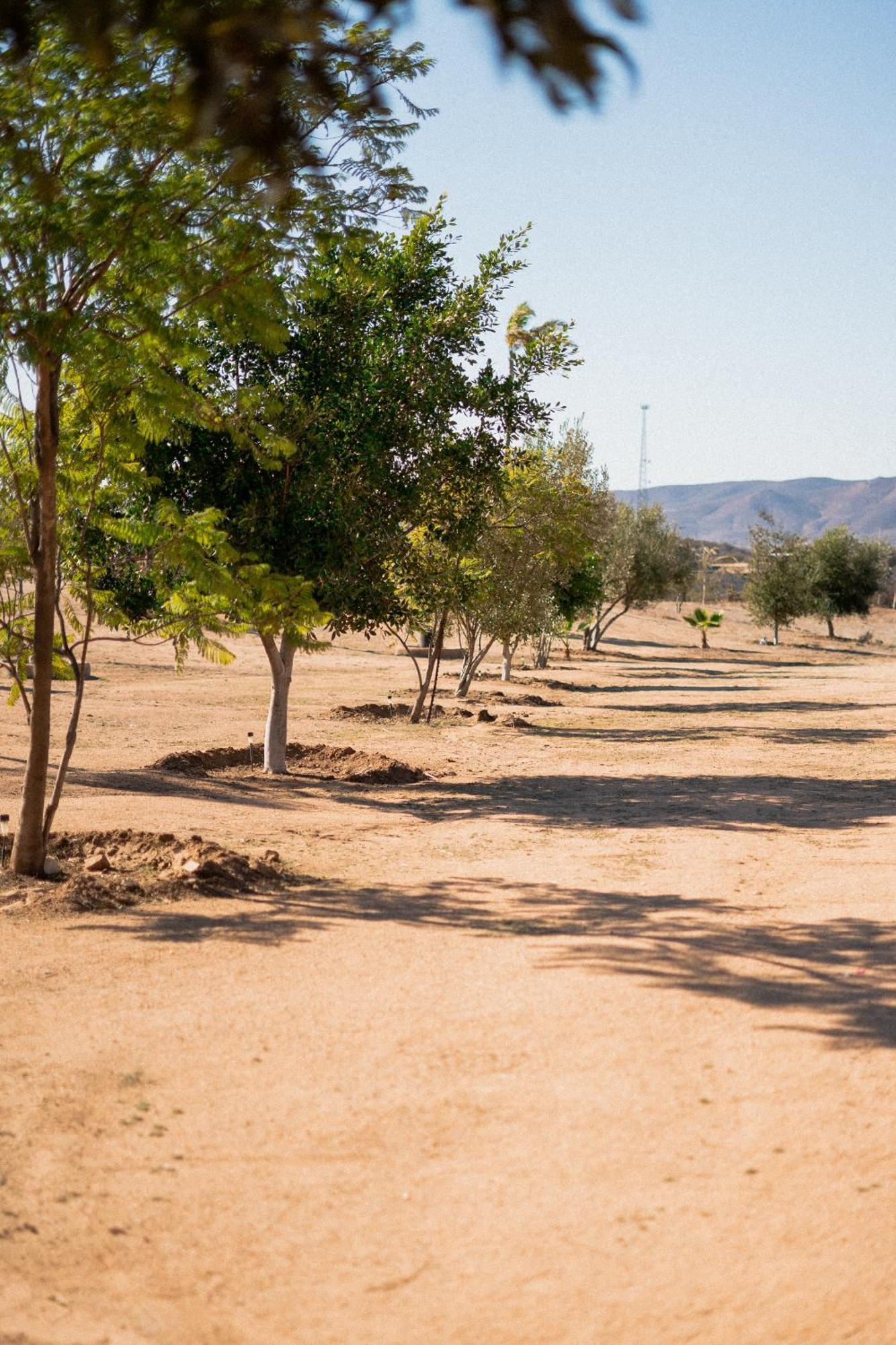Villa Victoria, Valle De Guadalupe Zewnętrze zdjęcie