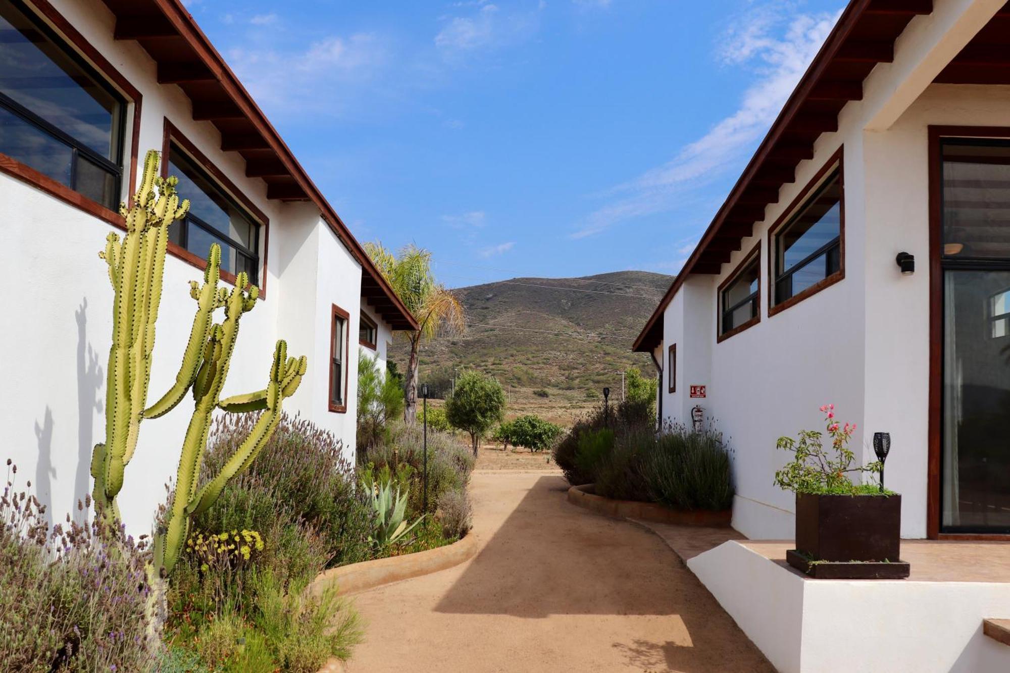 Villa Victoria, Valle De Guadalupe Zewnętrze zdjęcie